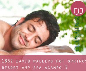 1862 David Walley's Hot Springs Resort & Spa (Acampo) #3