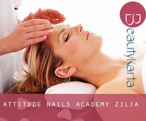 Attitude Nails Academy (Zilia)