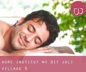 Aure Institut (Wy-dit-Joli-Village) #9