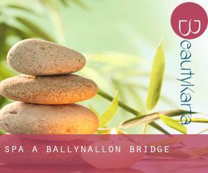 Spa à Ballynallon Bridge