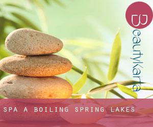 Spa à Boiling Spring Lakes