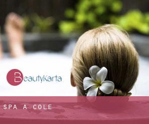 Spa à Cole Spa à Cole