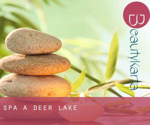 Spa à Deer Lake