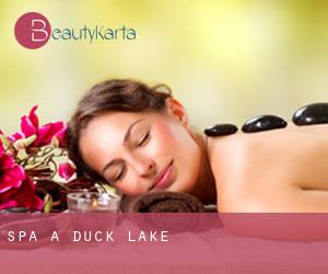 Spa à Duck Lake
