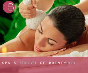 Spa à Forest of Brentwood
