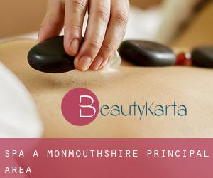 Spa à Monmouthshire principal area