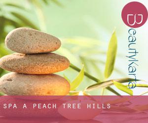 Spa à Peach Tree Hills