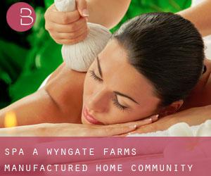 Spa à Wyngate Farms Manufactured Home Community