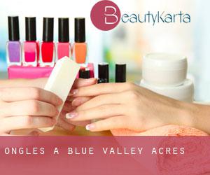 Ongles à Blue Valley Acres