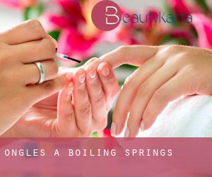 Ongles à Boiling Springs