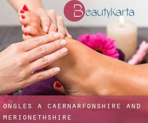 Ongles à Caernarfonshire and Merionethshire Ongles à Caernarfonshire and Merionethshire