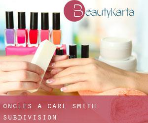Ongles à Carl Smith Subdivision