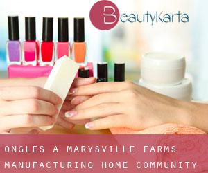 Ongles à Marysville Farms Manufacturing Home Community