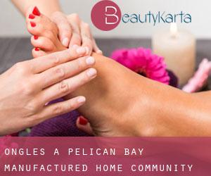 Ongles à Pelican Bay Manufactured Home Community