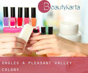 Ongles à Pleasant Valley Colony