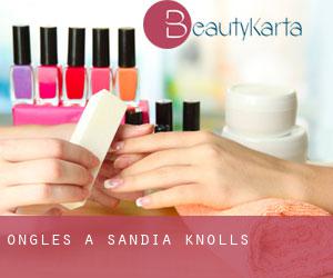 Ongles à Sandia Knolls