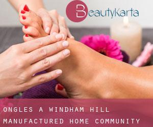 Ongles à Windham Hill Manufactured Home Community