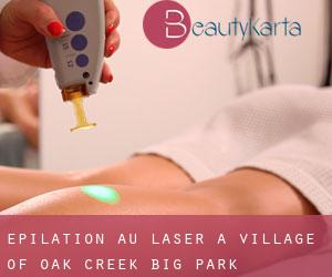 Épilation au laser à Village of Oak Creek (Big Park)