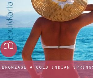 Bronzage à Cold Indian Springs