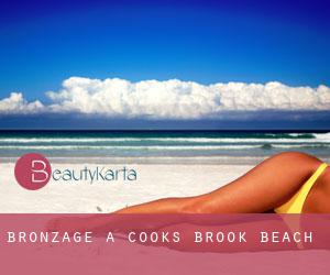 Bronzage à Cooks Brook Beach