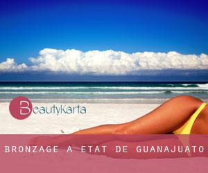 Bronzage à État de Guanajuato Bronzage à État de Guanajuato