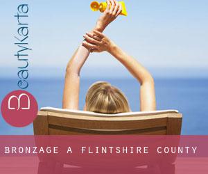 Bronzage à Flintshire County