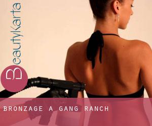 Bronzage à Gang Ranch