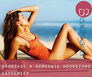 Bronzage à Gemeente Hoogezand-Sappemeer