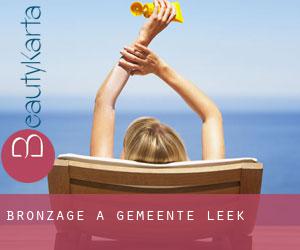 Bronzage à Gemeente Leek Bronzage à Gemeente Leek
