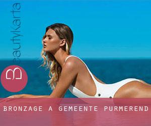 Bronzage à Gemeente Purmerend Bronzage à Gemeente Purmerend