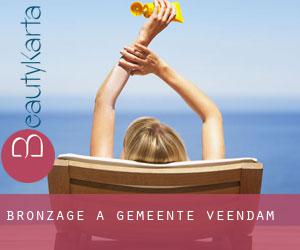 Bronzage à Gemeente Veendam Bronzage à Gemeente Veendam