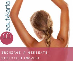 Bronzage à Gemeente Weststellingwerf Bronzage à Gemeente Weststellingwerf