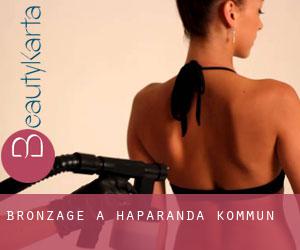 Bronzage à Haparanda Kommun