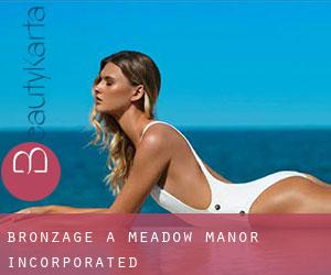 Bronzage à Meadow Manor Incorporated