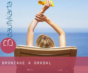 Bronzage à Orkdal Bronzage à Orkdal