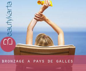 Bronzage à Pays de Galles Bronzage à Pays de Galles