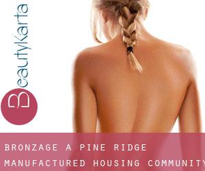 Bronzage à Pine Ridge Manufactured Housing Community