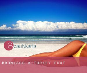Bronzage à Turkey Foot