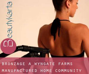 Bronzage à Wyngate Farms Manufactured Home Community