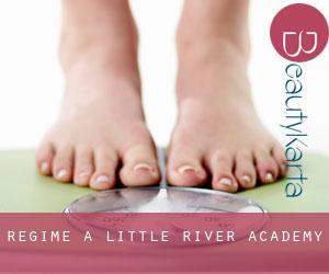 Régime à Little River-Academy