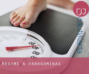 Régime à Paragominas Régime à Paragominas