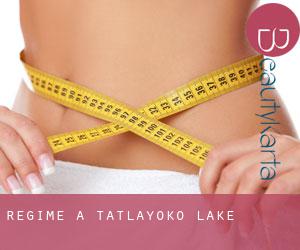 Régime à Tatlayoko Lake