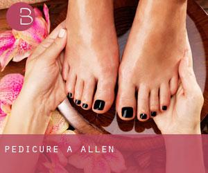 Pédicure à Allen Pédicure à Allen