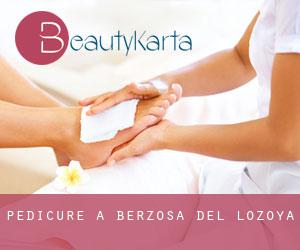 Pédicure à Berzosa del Lozoya