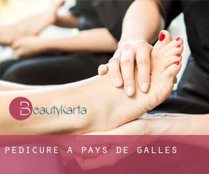 Pédicure à Pays de Galles Pédicure à Pays de Galles