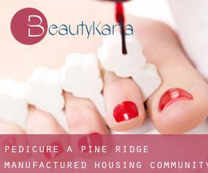 Pédicure à Pine Ridge Manufactured Housing Community
