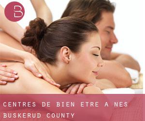 centres de bien-être à Nes (Buskerud county)