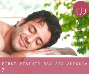First Feather Day Spa (Acequia) #7
