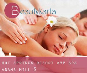 Hot Springs Resort & Spa (Adams Mill) #5