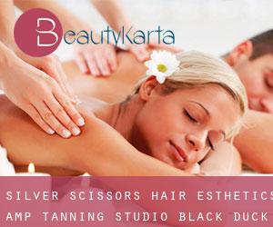 Silver Scissors Hair Esthetics & Tanning Studio (Black Duck Siding)